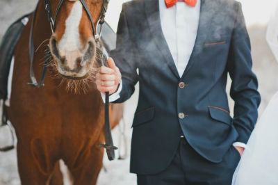 мужчина и лошадь