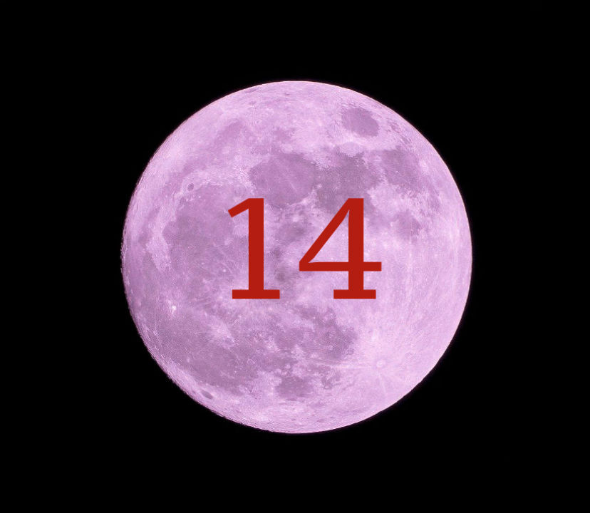 Луна в доме 14