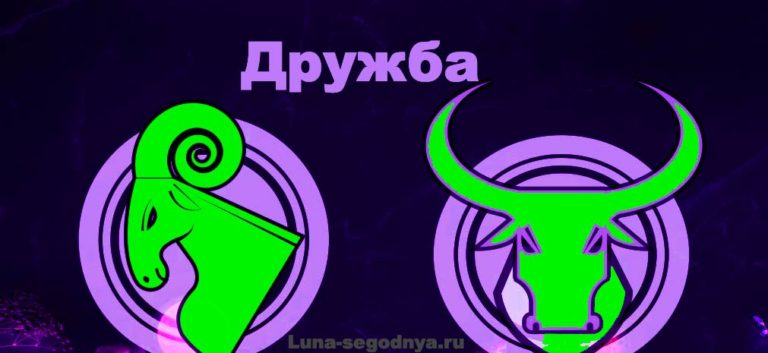 дружба