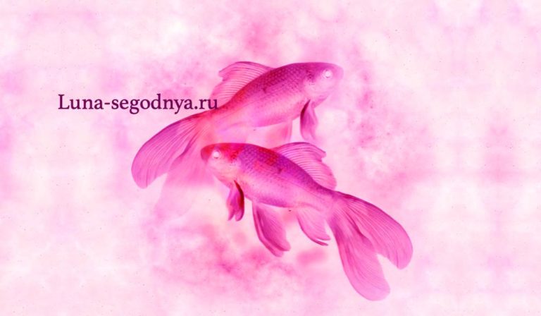 знак