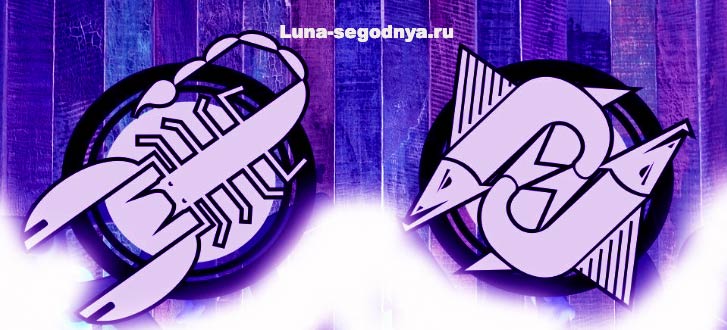 совместимость знаков зодиака рыбы и скорпион в дружбе. %D1%80%D1%8B%D0%B1%D1%8B. совместимость знаков зодиака рыбы и скорпион в дружбе фото. совместимость знаков зодиака рыбы и скорпион в дружбе-%D1%80%D1%8B%D0%B1%D1%8B. картинка совместимость знаков зодиака рыбы и скорпион в дружбе. картинка %D1%80%D1%8B%D0%B1%D1%8B. Дружба между Скорпионом и Рыбами может похвастаться верностью и доверием, но также может содержать пламенный конфликт, когда ни один из них не уступает другому.