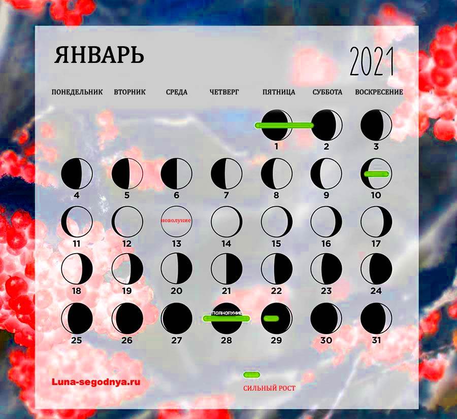 Календарь маникюра на сентябрь 2024 года Лунный календарь маникюр на май 2024 года