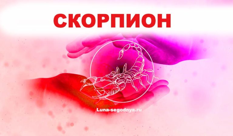 скорпион знак