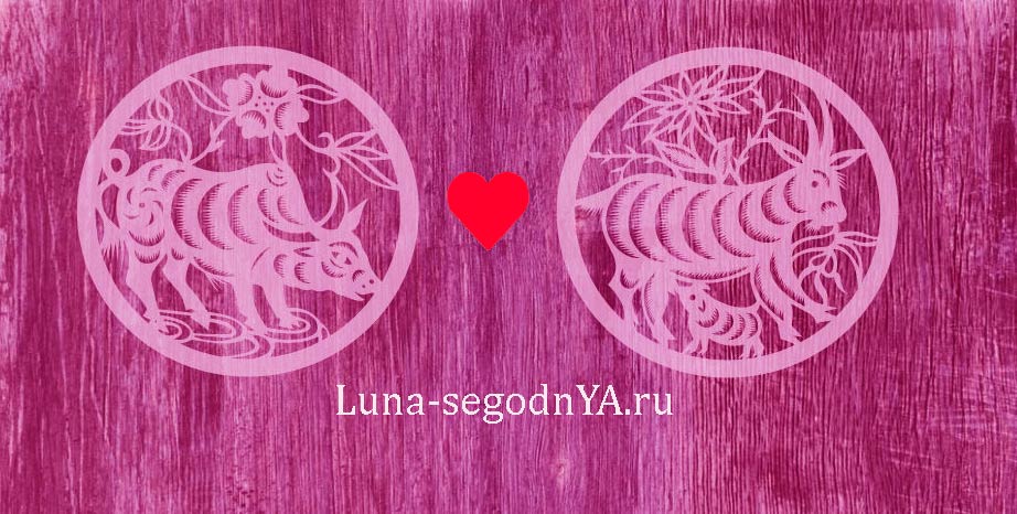 коза и бык совместимость в любовных отношениях. Смотреть фото коза и бык совместимость в любовных отношениях. Смотреть картинку коза и бык совместимость в любовных отношениях. Картинка про коза и бык совместимость в любовных отношениях. Фото коза и бык совместимость в любовных отношениях
