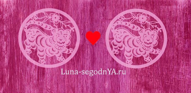 Тигр Тигр