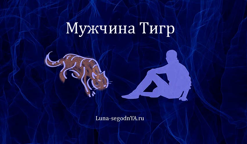 Что любит мужчина тигр