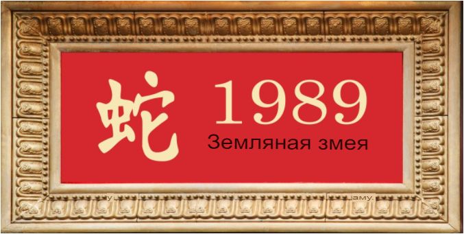 1989 г
