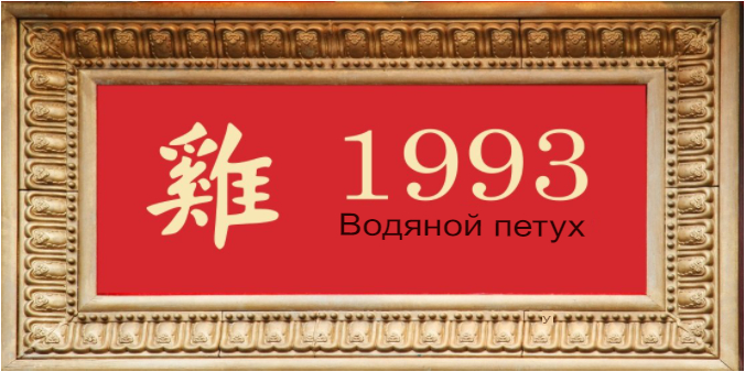 1993 год